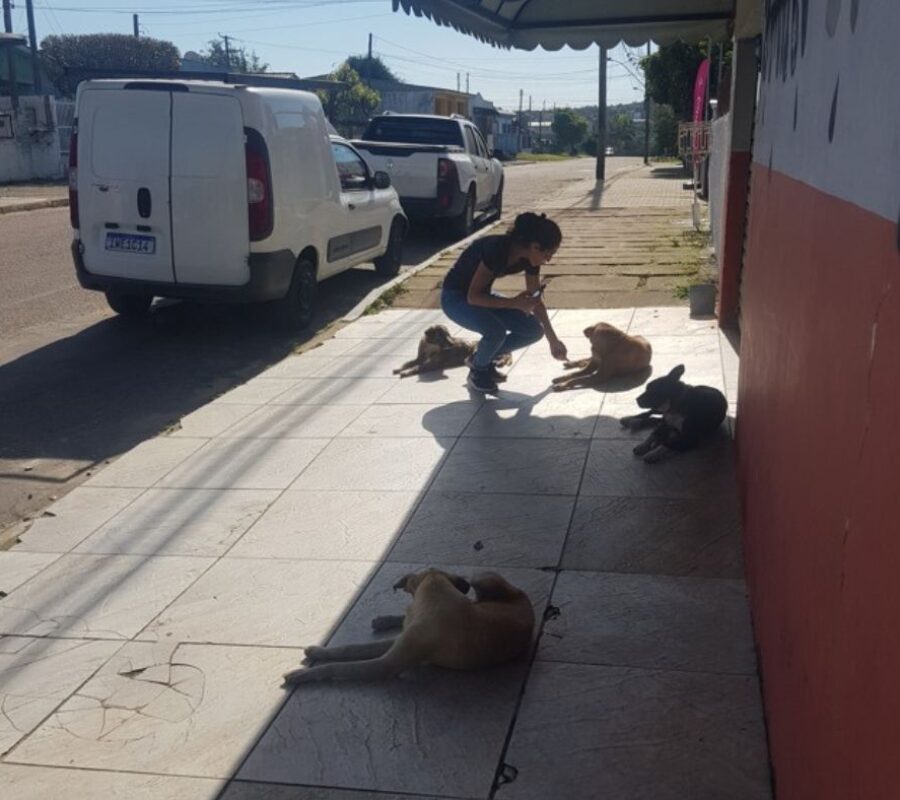 Amigos do Veludo em trabalho na rua